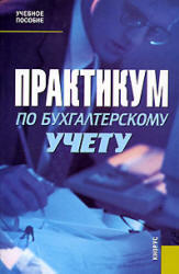 Практикум по бухгалтерскому учету, Сапожникова Н.Г., Денисов Н.Л., 2006
