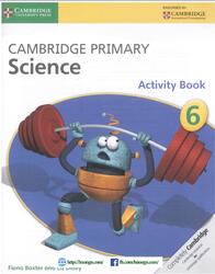 Cambridge Primary Science 6, Activity book, Baxter F., 2014