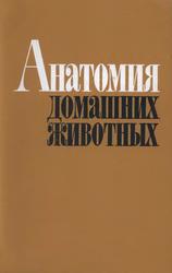 Анатомия домашних животных, Акаевский А.И., Юдичев Ю.Ф., Михайлов Н.В., Хрусталева И.В., 1984 