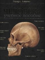 Атлас анатомии человека, Алкамо Э., Гилярова И., Бергдал Дж., 2008
