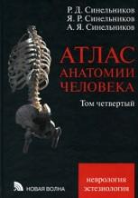 Атлас анатомии человека, в 4 томах, том 4, Синельников Р.Д., Синельников Я.Р., Синельников А.Я., 2010