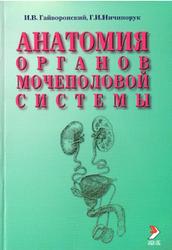 Анатомия органов мочеполовой системы, Гайворонский И.В., Ничипорук Г.И., 2006