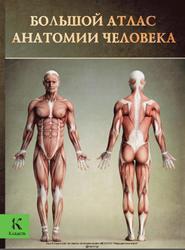 Большой атлас анатомии человека, Буканова Ю.В., Винсент Перез, 2013
