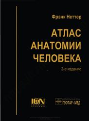 Атлас анатомии человека, Неттер Ф., 2003