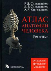Атлас анатомии человека, Том 1, Синельников Р.Д., 2009