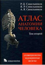 Атлас анатомии человека, Том 2, Синельников Р.Д., 2009