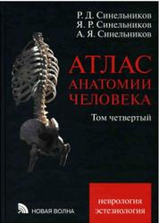 Атлас анатомии человека, Том 4, Синельников Р.Д., 2010