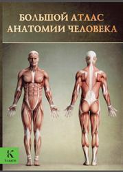 Большой атлас анатомии человека, Перез В., 2013