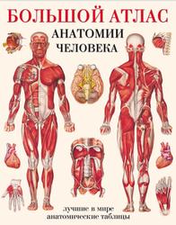 Большой атлас анатомии человека, Махиянова Е.Б., 2018