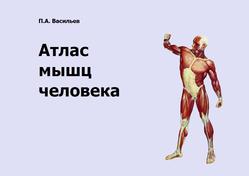 Атлас мышц человека, Васильев П.А., 2015