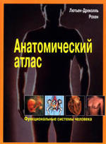 Анатомический атлас - Функциональные системы человека - Лютьен-Дреколль Э., Рохен Й.