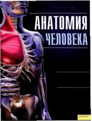 Анатомия человека. Иллюстрированный атлас. Кассан А. 2011 