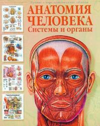 Анатомия человека, Системы и органы, Бехин П., 2007