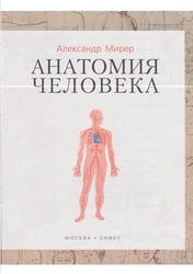 Анатомия человека, Мирер А.И., 2008