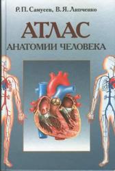 Атлас анатомии человека, Самусев Р.П., Липченко В.Я., 2003