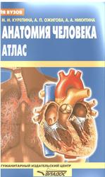 Анатомия человека, Атлас, Курепина М.М., Ожигова А.П., Никитина А.А., 2007