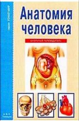 Анатомия человека, Узнай мир, Афонькин С.Ю., 2007