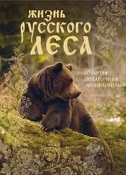 Жизнь русского леса, Митителло К.Б., 2016