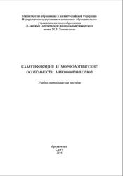 Классификация и морфологические особенности микроорганизмов, Болотова К.С., 2016