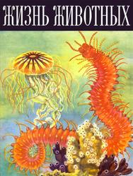 Жизнь животных, Том 1, Беспозвоночные, Зенкевич Л.А., 1968