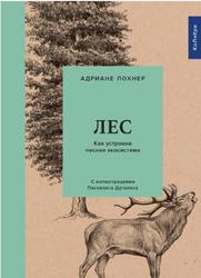 Лес, Как устроена лесная экосистема, Лохнер А., 2021