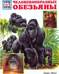 Человекообразные обезьяны, Дрёшер В.Б., 1994