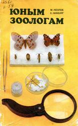 Юным зоологам, Наземные и пресноводные беспозвоночные, Для кружковой работы, Козлов М., Нинбург Е., 1981 Юным зоологам, Наземные и пресноводные беспозвоночные, Для кружковой работы, Козлов М., Нинбург Е., 1981