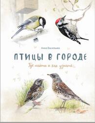Птицы в городе, Где найти и как узнать, Васильева А., 2019 Птицы в городе, Где найти и как узнать, Васильева А., 2019