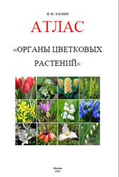 Атлас, Органы цветковых растений, Хаскин Ф.Ю., 2020