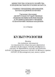 Культурология, Пособие, Ковтун А.А., 2023