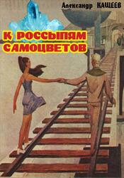 К россыпям самоцветов, Кащеев А., 2010