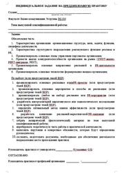 Индивидуальное задание на преддипломную практику