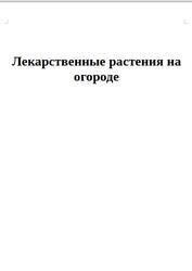 Лекарственные растения на огороде Лекарственные растения на огороде