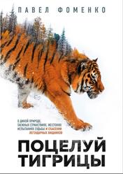 Поцелуй тигрицы, Фоменко П.В., 2020