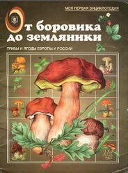 От боровика до земляники, Моя первая энциклопедия, Маталин А.В., 1999